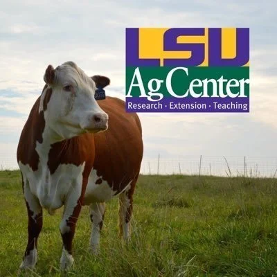 LSU AgCenter, NRCS To Host Two Pasture Field Days