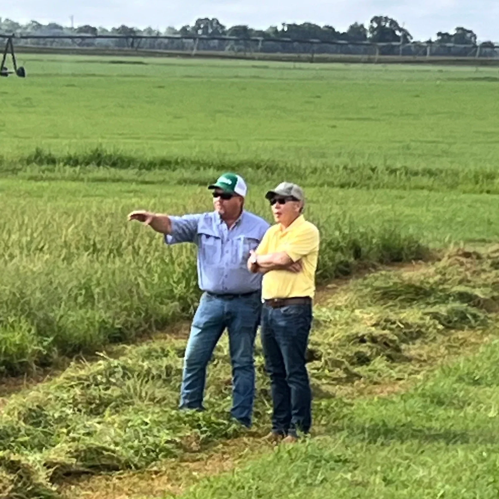 Baleage Workshop - Showcasing the Hay Operation at Delta Dairy in Baskin, La