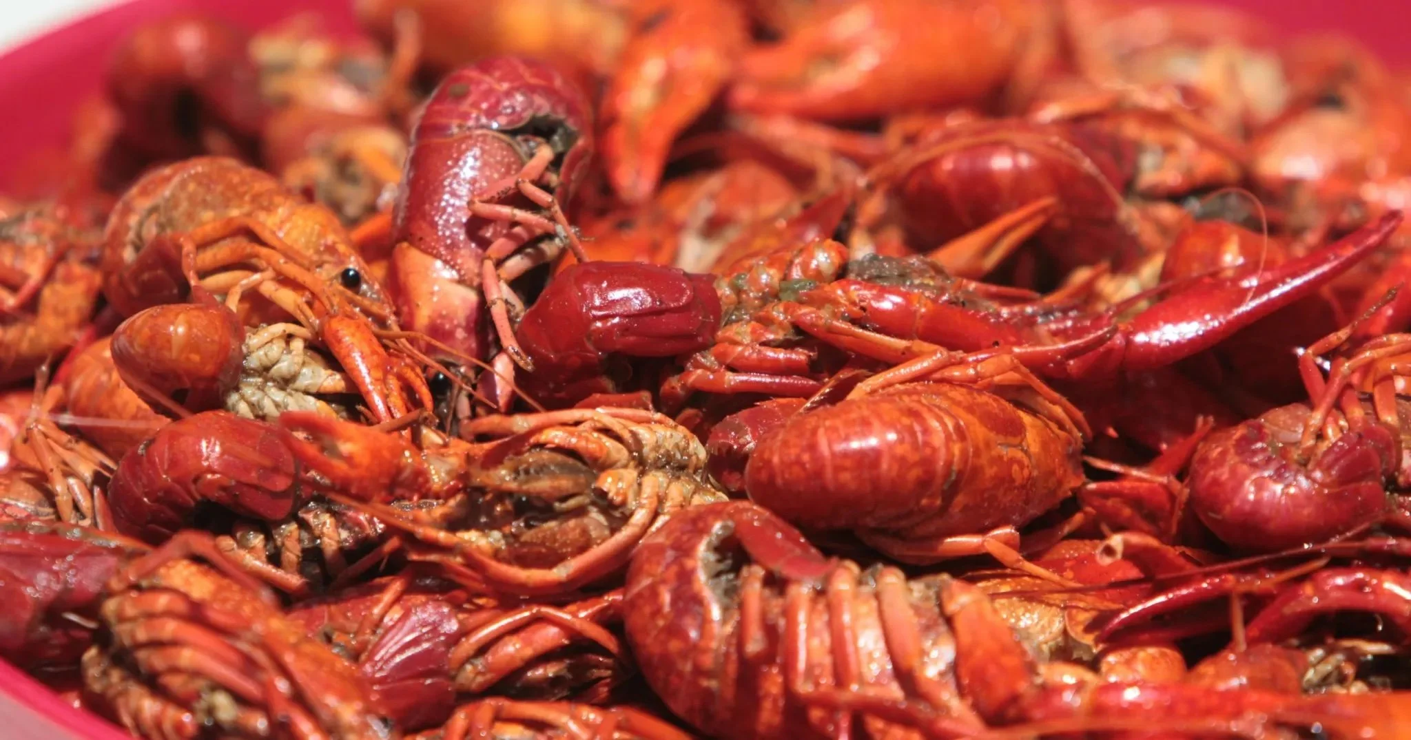 A Promising Crawfish Season Is On The Horizon For Shreveport Seafood Lovers 
