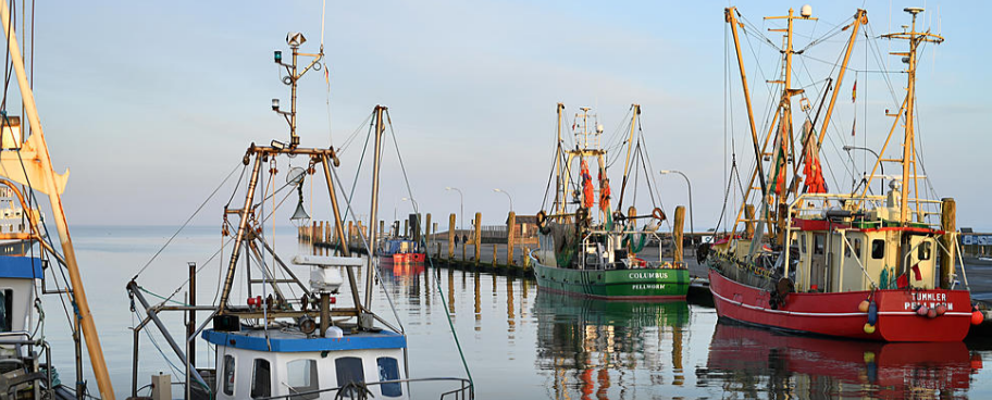 Louisiana Shrimpers Fear for the Future Amid High Diesel Cost