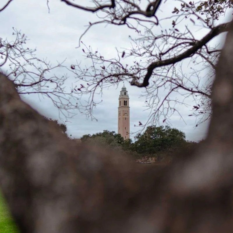 The First Meeting for LSU’s Presidential Search Committee is Set