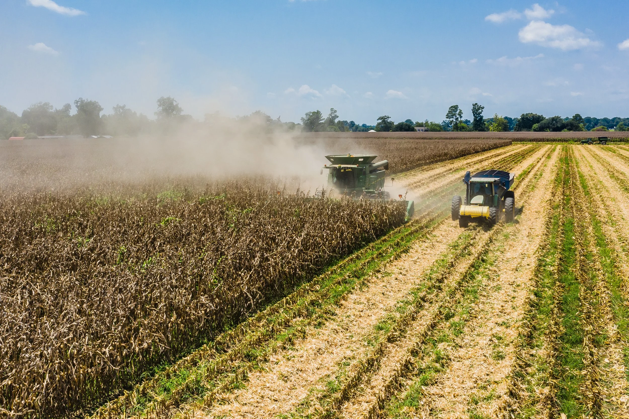 How Midsouth Row Crop Producers Fared in 2025