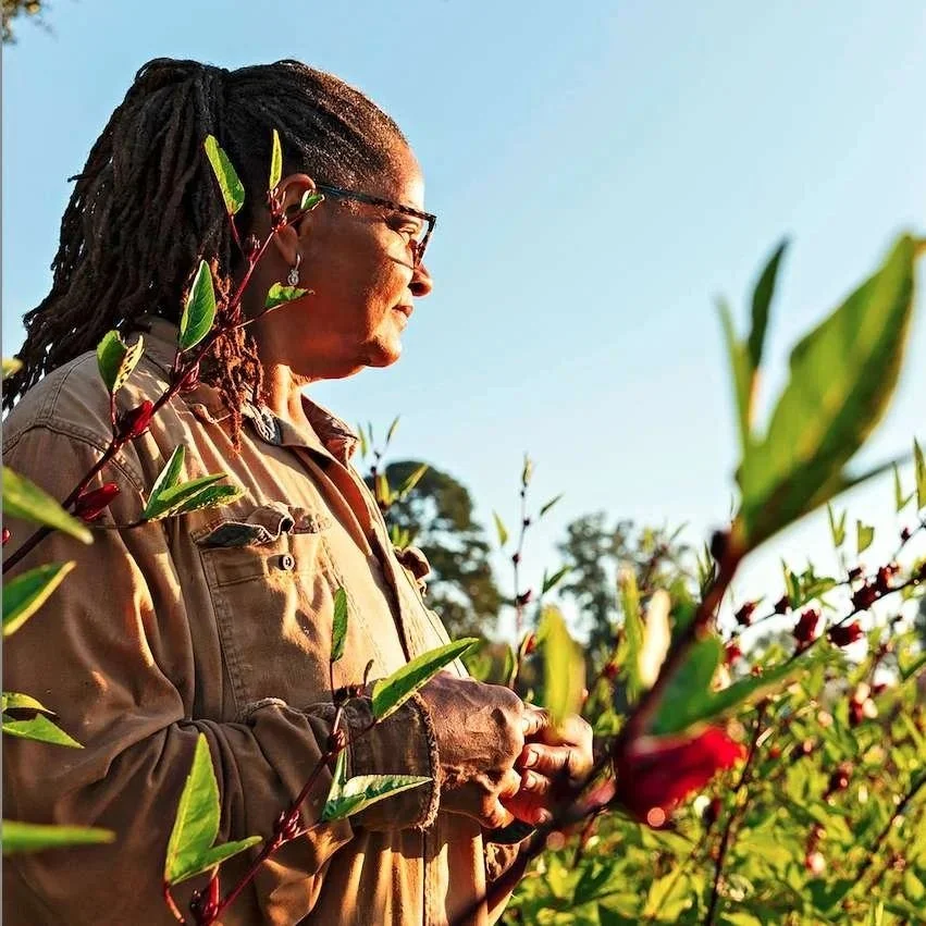 This Louisiana Farmer Turned A Little-Known Tropical Plant Into A Thriving Business