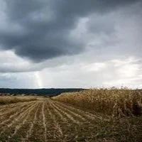 Hurricanes Push Crop Insurance Costs Higher in Mid-South