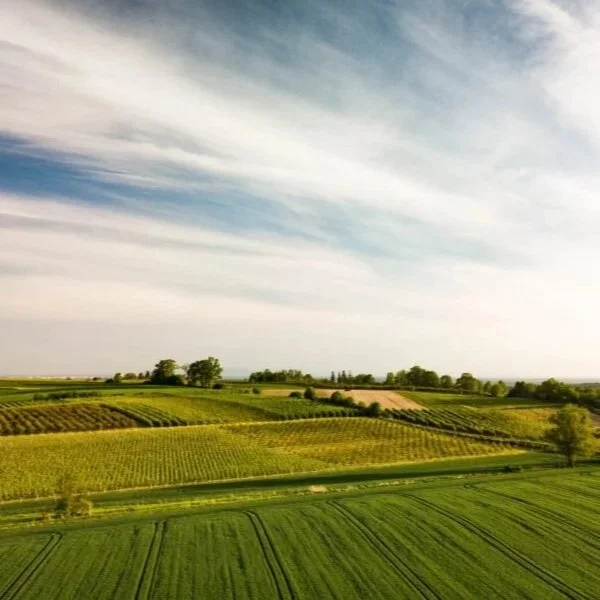 Will Land Values Remain Resilient in 2026 in The Face of a Farm Crisis?