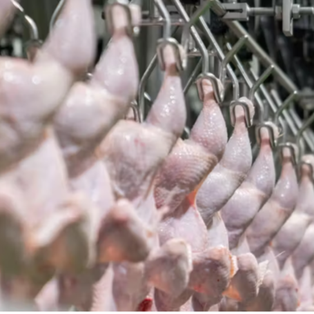Foster Farms Sells Farmerville, Louisiana, Chicken Facilities to Case Farms