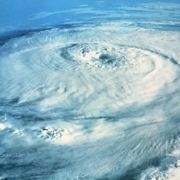 The Year That Stunned Louisiana: An Oral History Of The  LSU AgCenter Response To Hurricanes Katrina and Rita