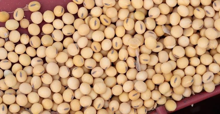 USDA Data Casts Doubt on China’s Soybean Purchase Promises Touted by Trump