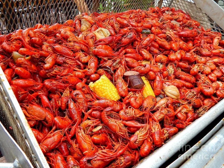 Despite Drought, Crawfish Plentiful as Mother’s Day Approaches