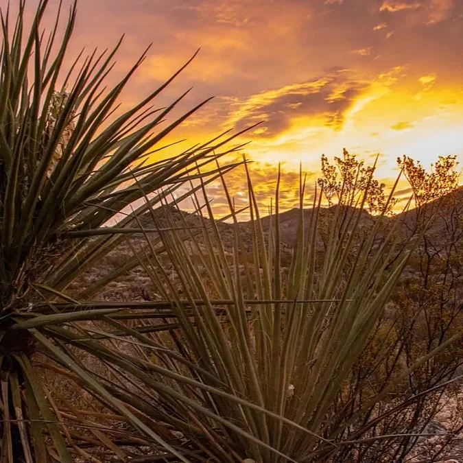 Farm Bureau Applauds Proposed Rescission Of Misguided Land Rule   