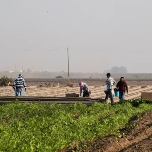 Trump 2.0 Sets Stage for H-2A Farmworker Wage Reforms