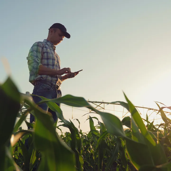 Southern Farm Debt Shows Concerning Growth 