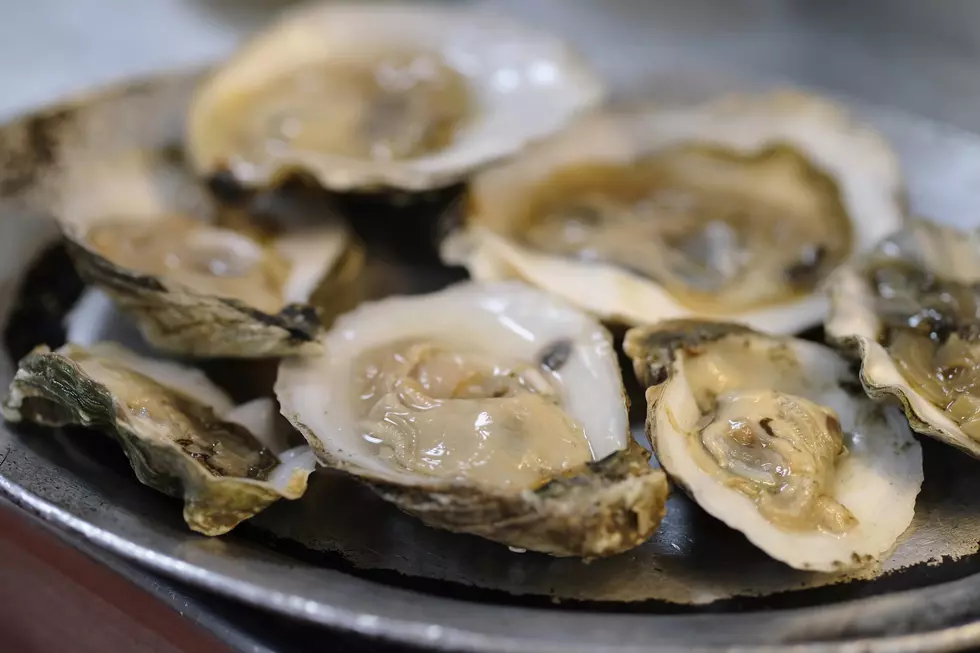 Oyster, Crawfish Food Safety Rules Raise a Very Louisiana Dilemma: How Do You Define ‘Bisque’?