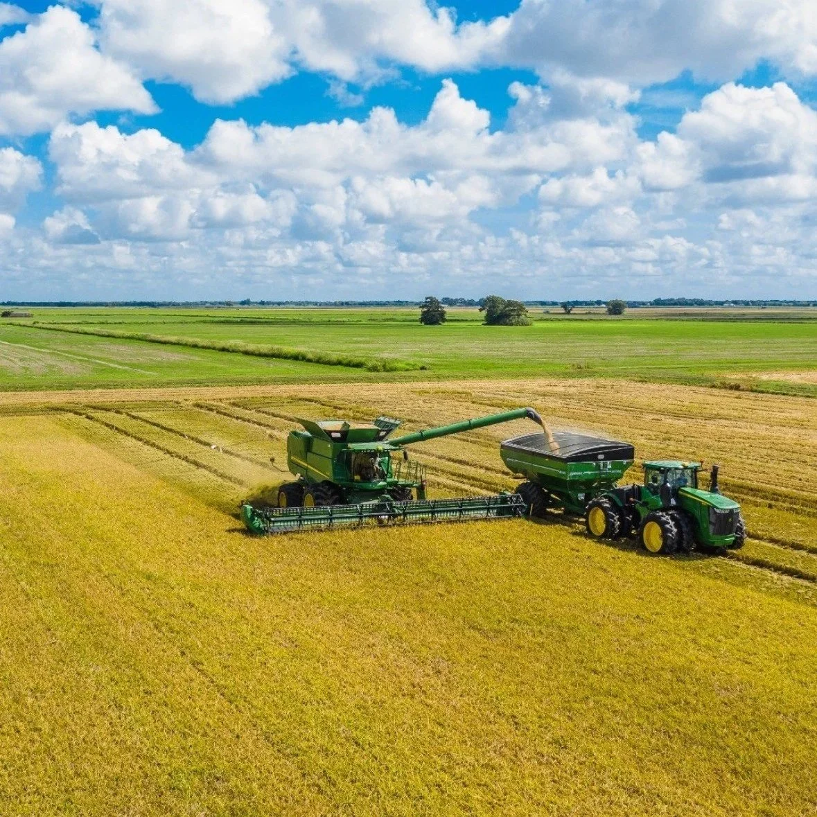 Southwest Louisiana Rice Farmer On 2025 Harvest