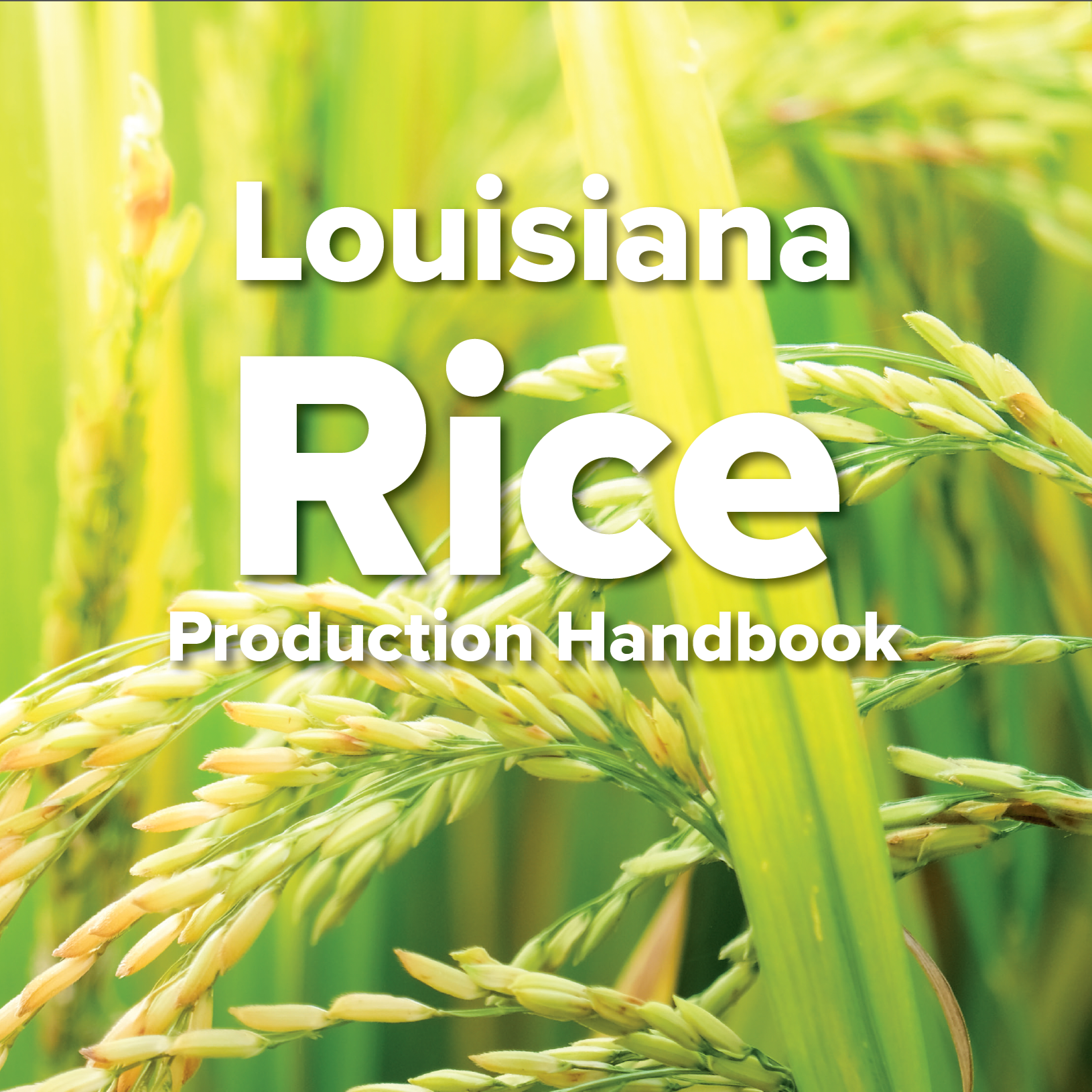 Louisiana Rice Production Handbook