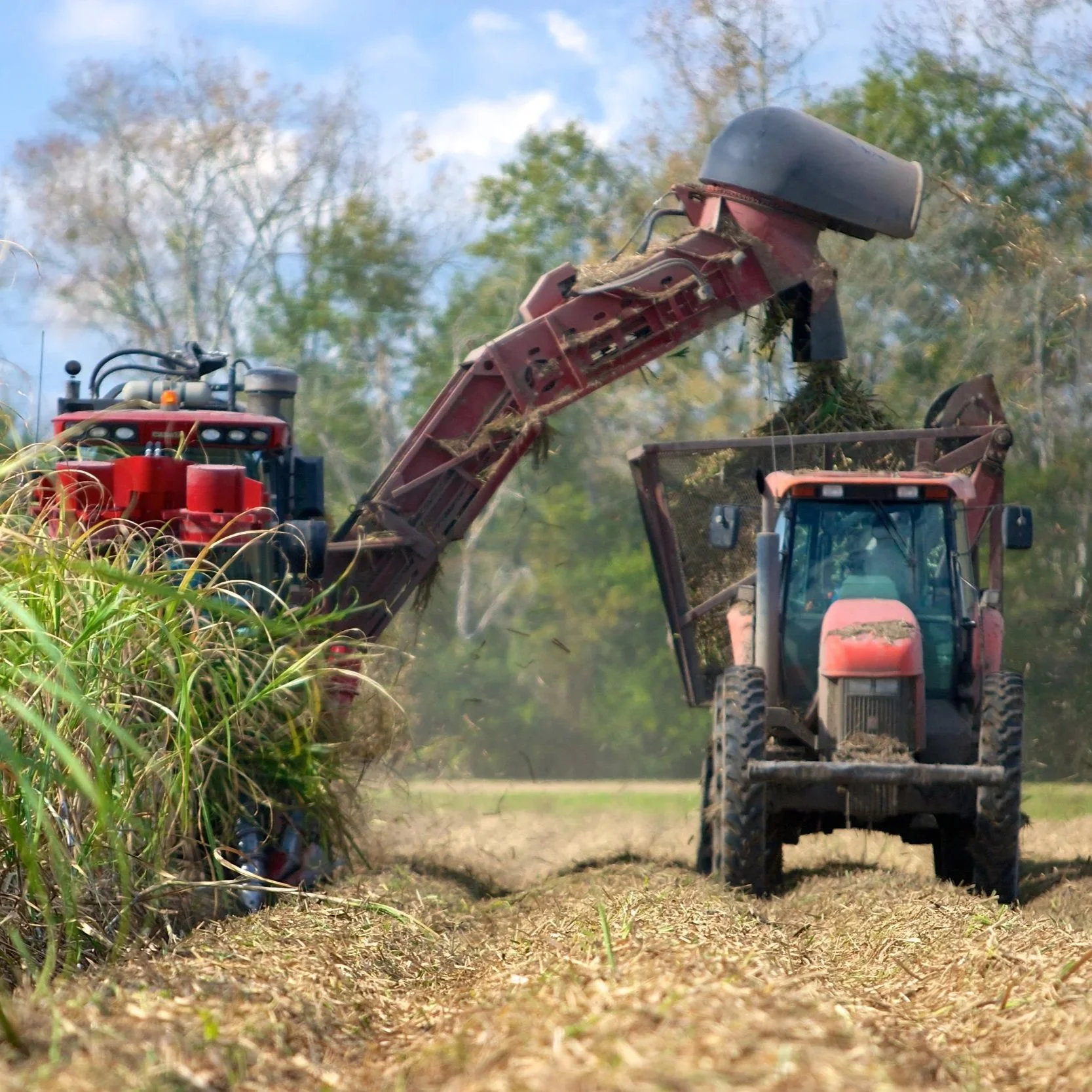 'Looking At Great Conditions;' Louisiana Sugarcane Farmer Discusses Outlook For This Year's Harvest