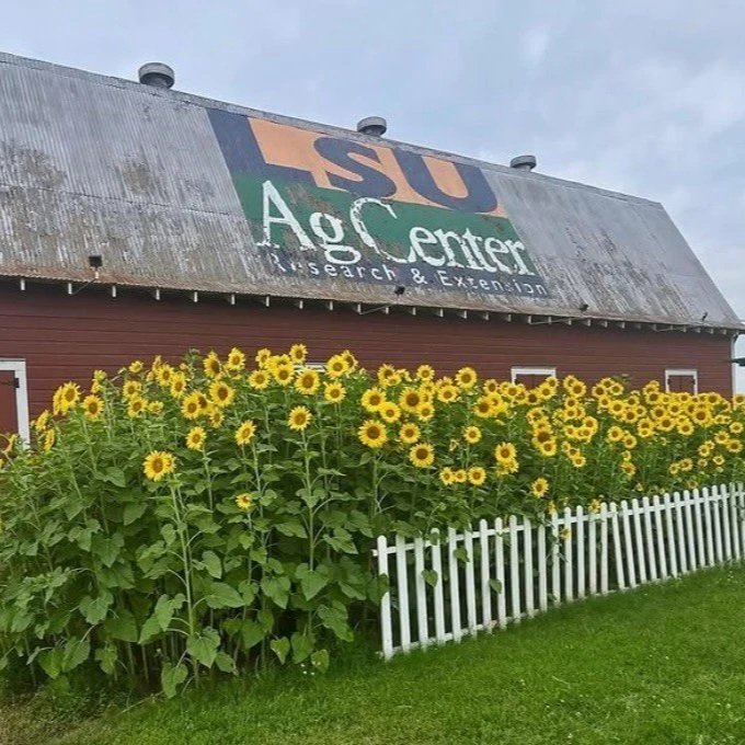 Grow Louisiana Farmer Training Program Registration Deadline, November 25