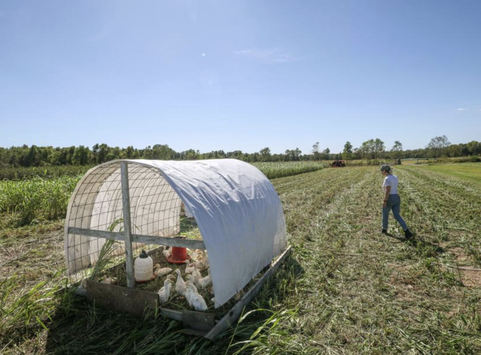 These Women Are Turning a Remote New Orleans Oasis Into a Farming Hub