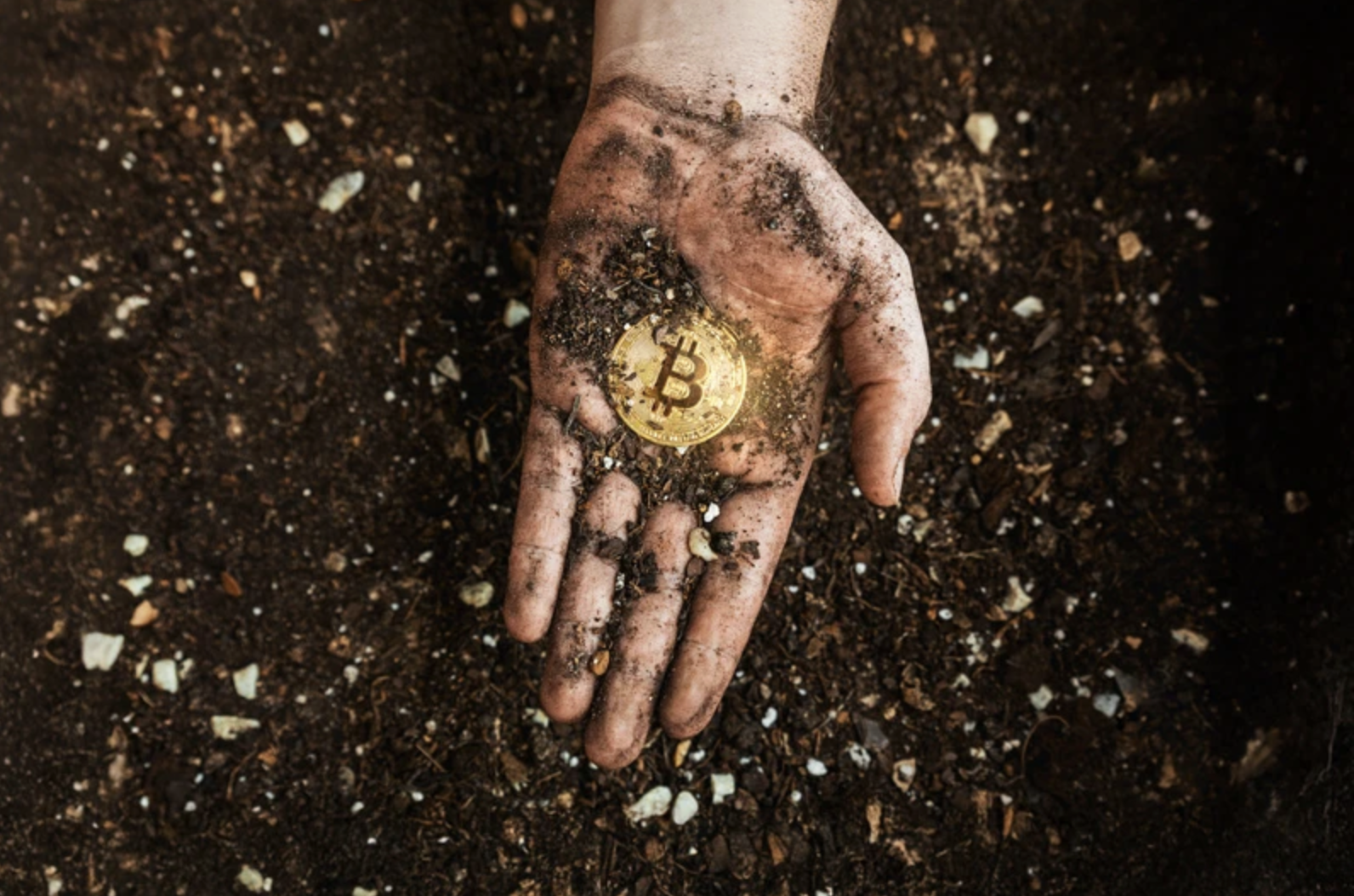 Bitcoin Set to Revolutionize US Agriculture?