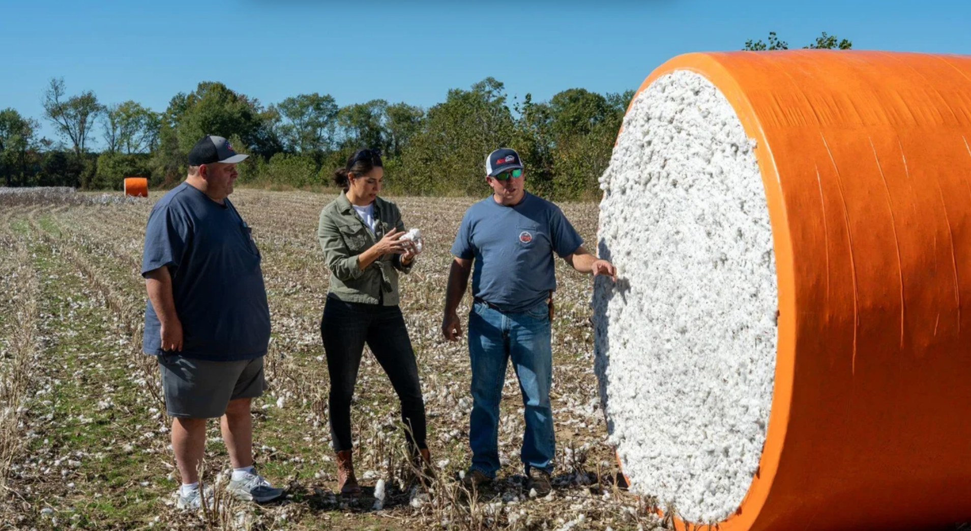 The Family Farm; Collateral Damage; The Indomitable Margaret Atwood