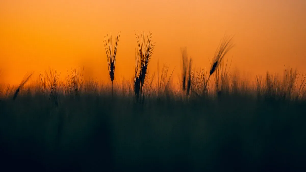 A Promise Worth Keeping: Restoring Certainty to America’s Farmers