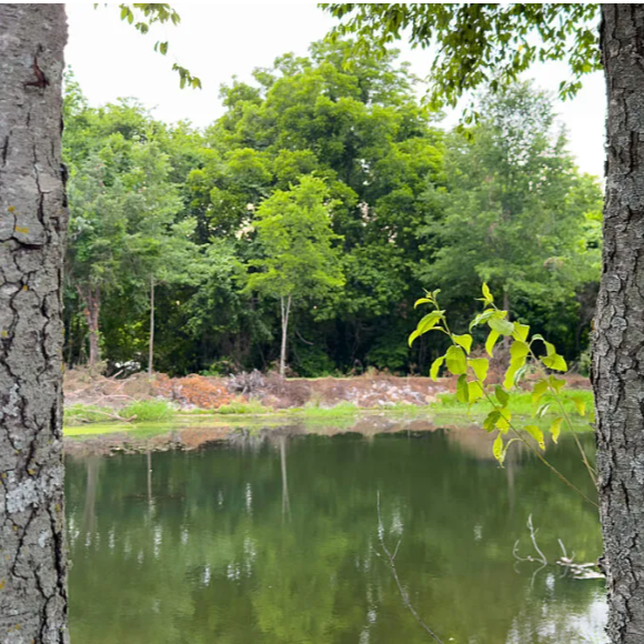 Proposed WOTUS Rule Protects Environment, Respects Farmers