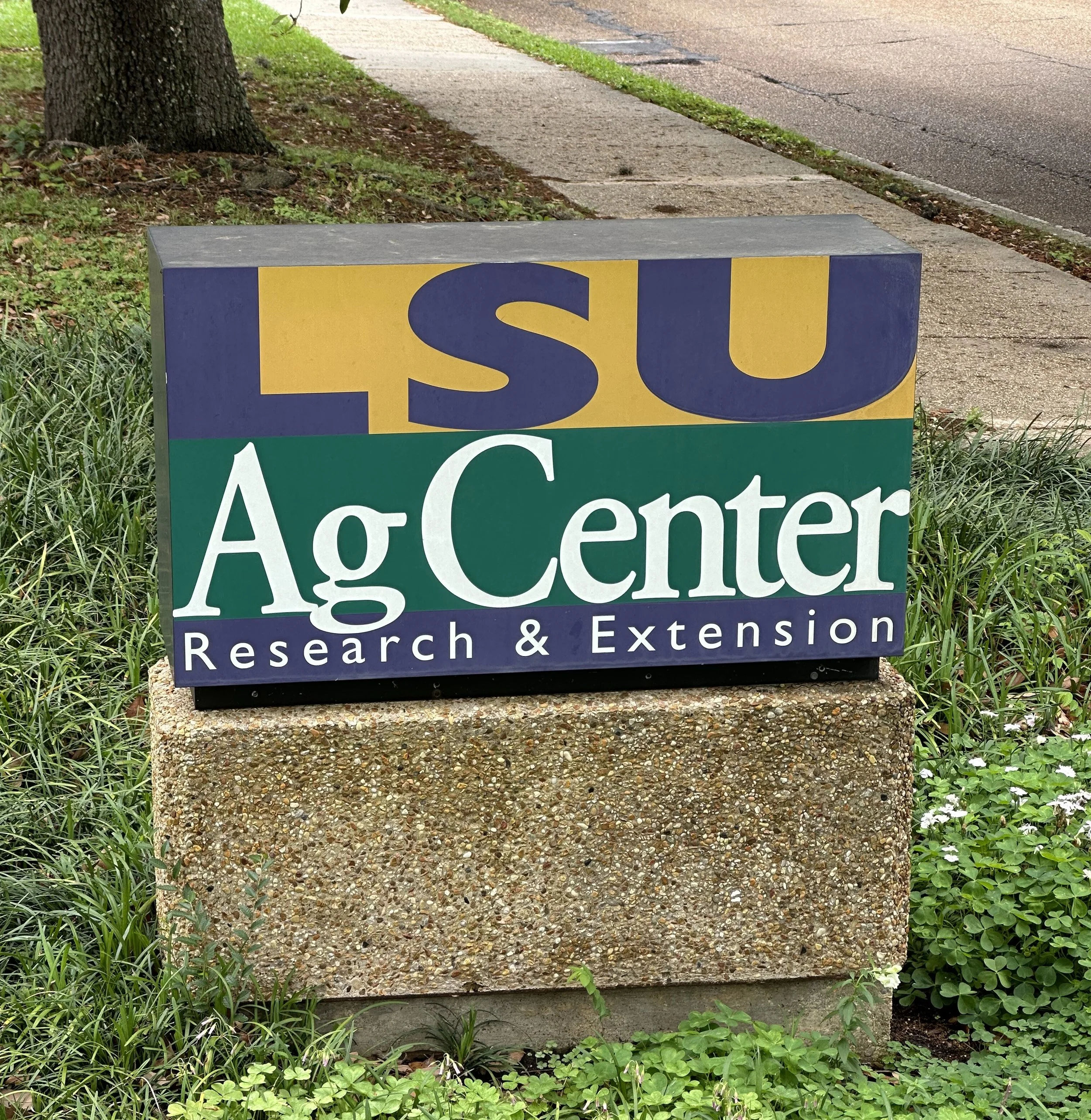 The State of Louisiana's Farm Economy 