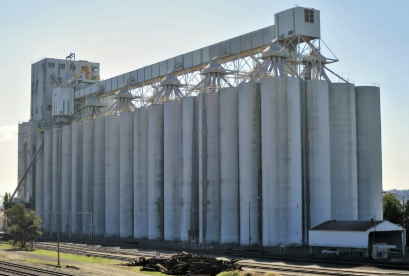 Multi-State Grain Merchandiser Files for Bankruptcy: What Farmers Should Know