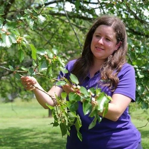 Providing Food, Shelter and Water are the Deys to Attracting Wildlife to Your Landscape