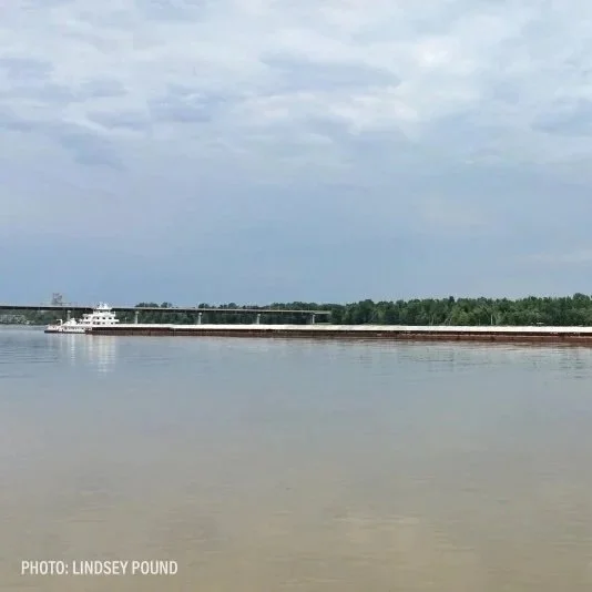 Grain Movement Into New Orleans Shifts From Usual Routes This Fall