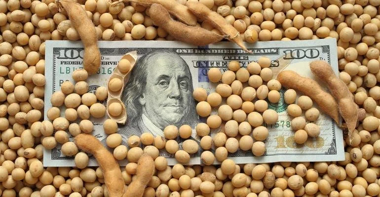 Louisiana’s Soybean Exports to China Fall, Losing $1.85 Billion