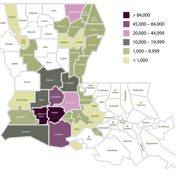 Louisiana Growers Wrap Up 2025 &amp; Prep for 2026