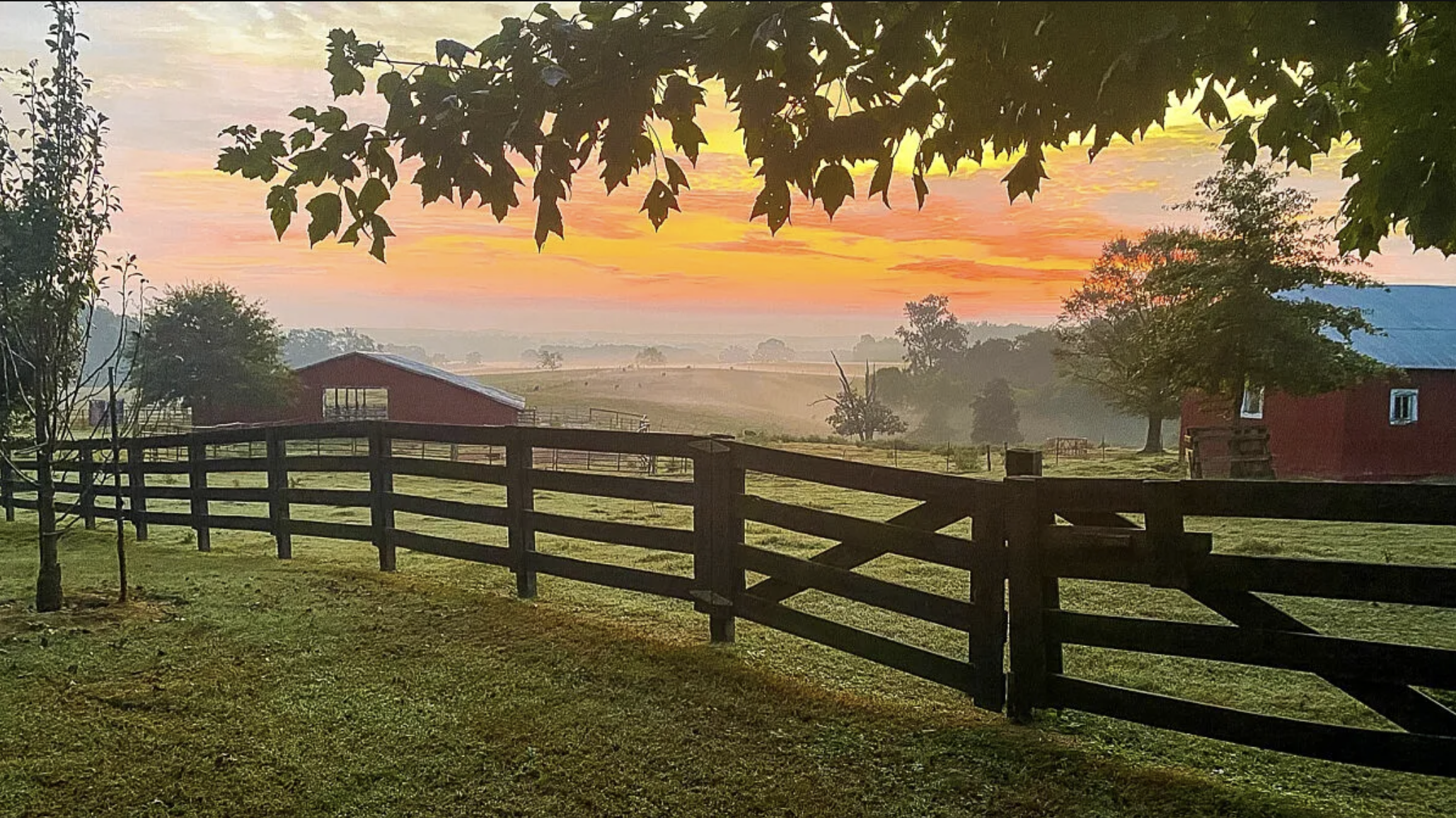Farmers Grateful for Help Through Economic Storm