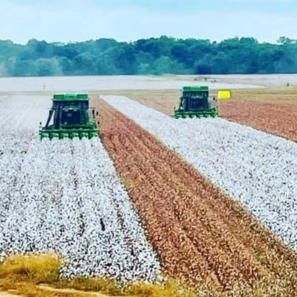 Cleveland: Declining Demand Spurs Market Closing Below 64-Cents