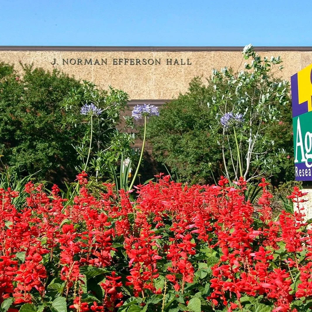 LSU AgCenter Exports To Offer 2026 Ag Market Outlook At January Event