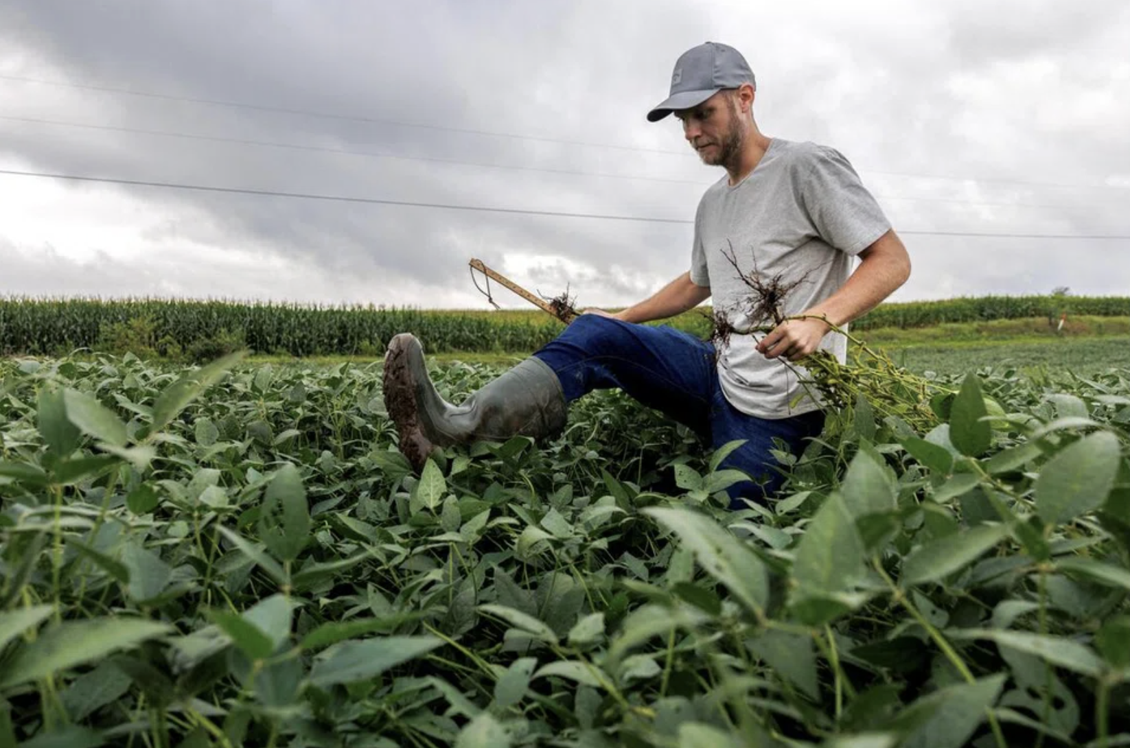 U.S. Farmers Say $12 Billion Bailout Won’t End Industry Slump