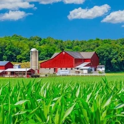 How Trump’s Bridge Payments Could Affect Farmland Prices