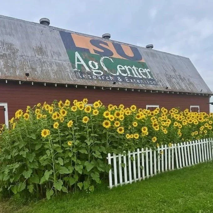 Invasive Pest Workshop Pushes For Diligence, Communications
