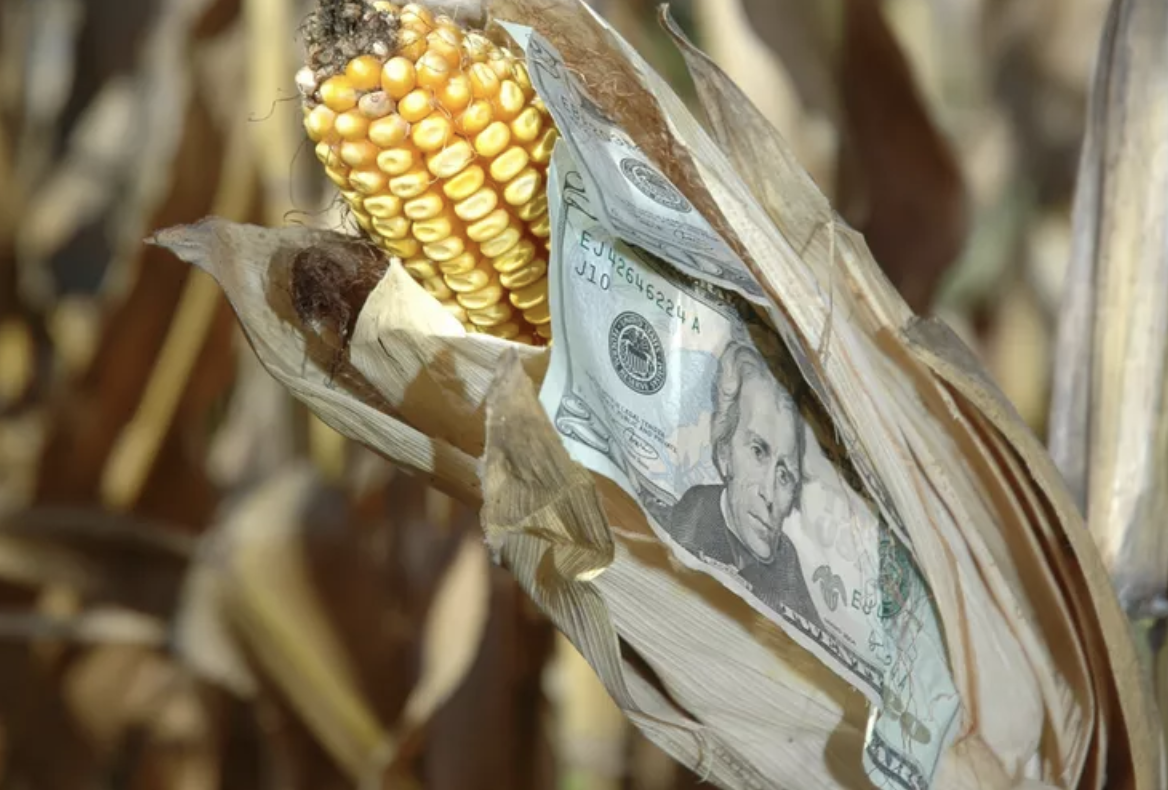 How Can Farmers Use Their USDA Bridge Payments Wisely?