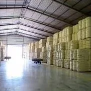 Cotton Industry Deploys Actions To Ensure Survival