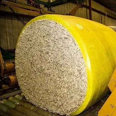 Getting Loud About American Made Cotton 