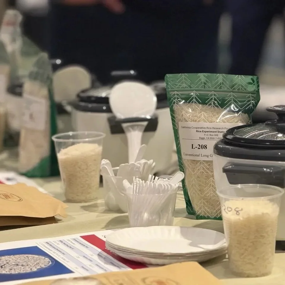 New Research From Horizon Ag On Latin American Consumer Rice Preferences 