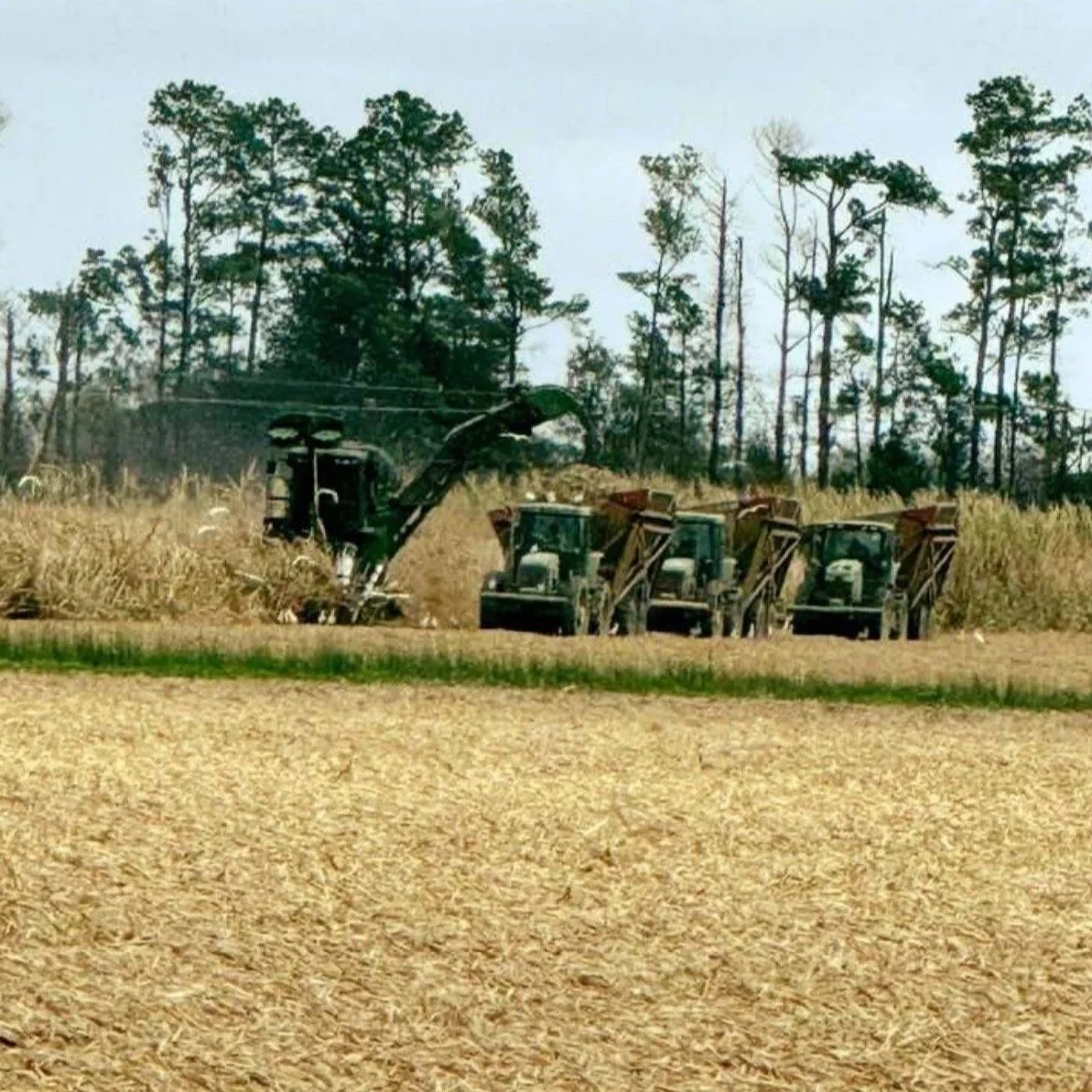 USDA Announces No Actions Under Feedstock Flexibility Program