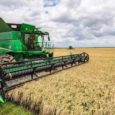 5 Key Approaches Midsouth Rice Growers Should Take In 2026