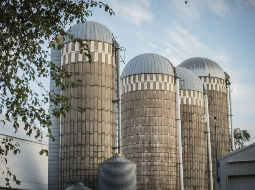 What Farmers Need to Know Before the January WASDE Report