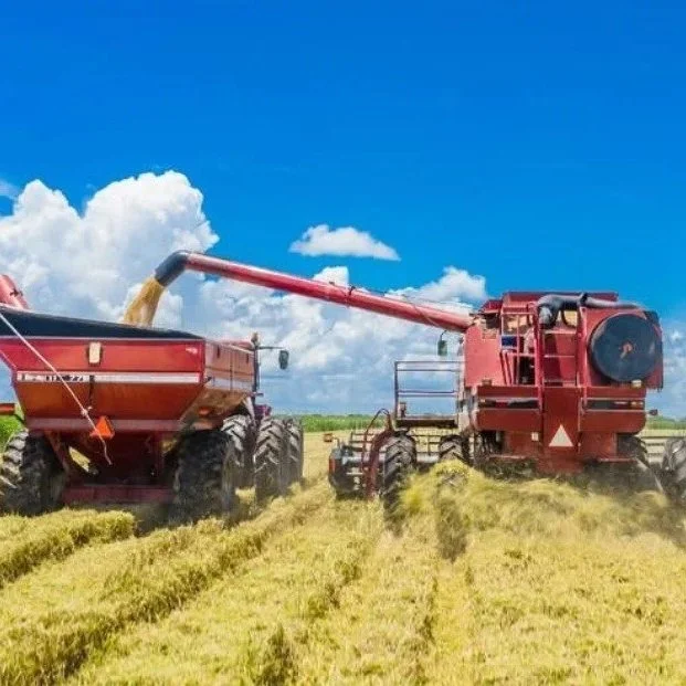 Trump Aims Bumper Aid At U.S. Rice Farmers Facing Bleakest Outlook