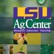 Apply Today For 2026 Cooperative Extension Internship