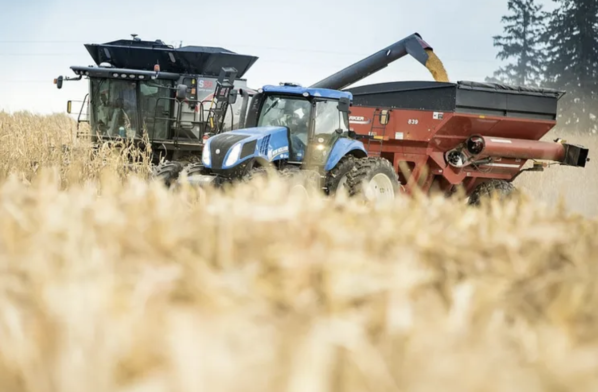 Grower Groups Warn of Deeper Price Pain After Corn Supply Shock From USDA Report