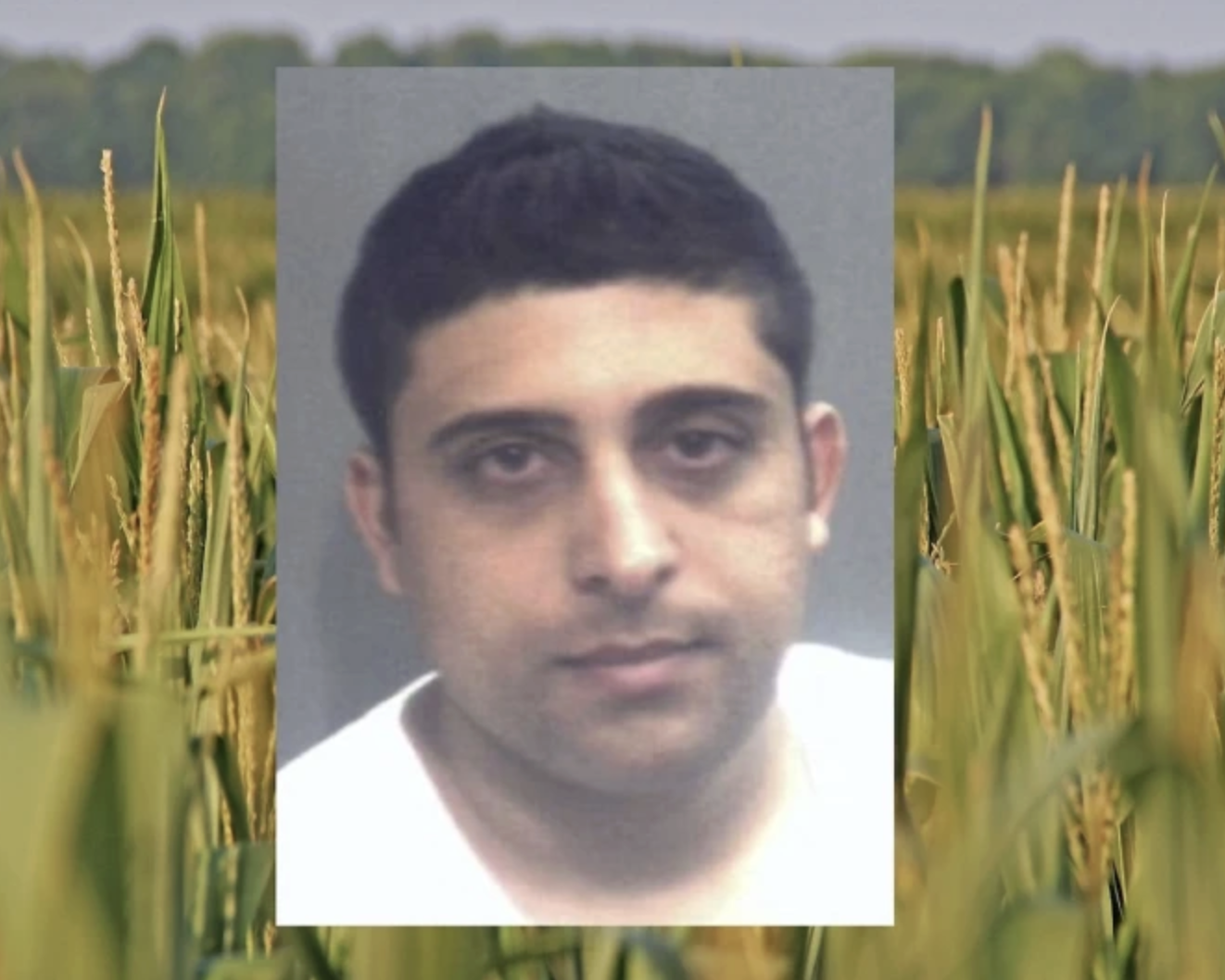 Sticky Fingers: USDA Fraudster Steals $200M in Stunning Scam