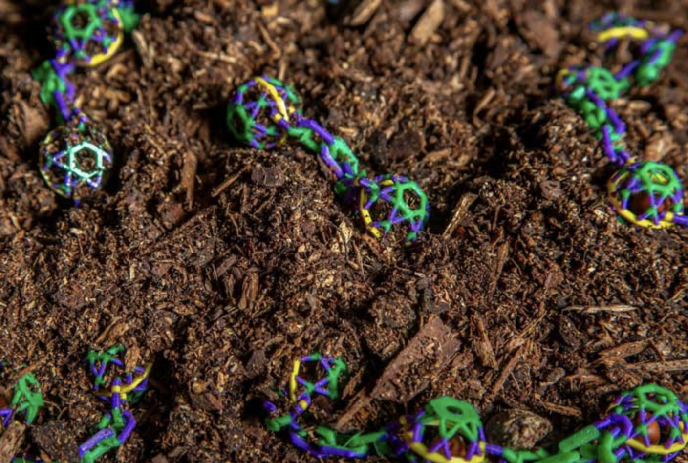 Mardi Gras Beads Take Up to 500 Years to Decompose, so These LSU Students Designed a Biodegradable Alternative
